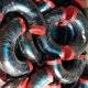 Carbon Steel Elbows
